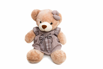 Big Bear soft toy isolated