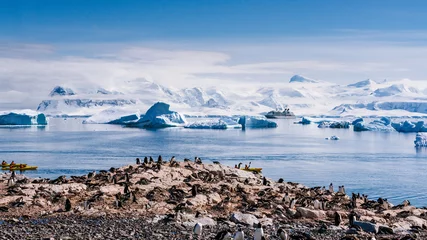 Gordijnen Antarctica  © James