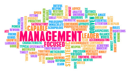 Fototapeta premium Management Word Cloud Concept
