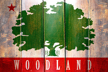 Vintage Woodland flag on grunge wooden panel