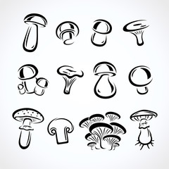Mushroom set. Vector - obrazy, fototapety, plakaty