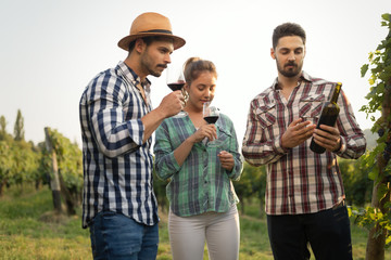 People tasting wine in vineyard