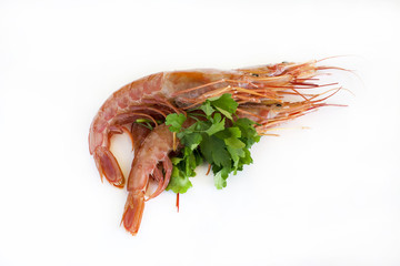 
Fresh prawns on white background