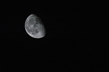 Moon