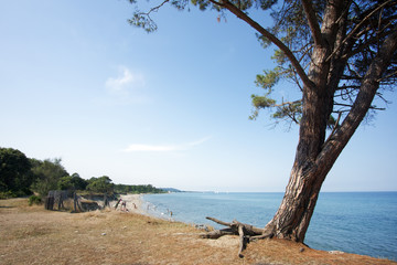 plage de Costa verde en haute Corse