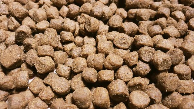 Dry dog or cat food rotate on table. Macro shot.