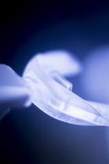 Dental braces aligners accelerator