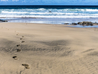 Footprints in the sand – sandy beach.