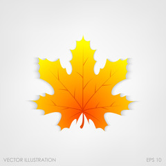 Maple leaf in a realistic style on  white background