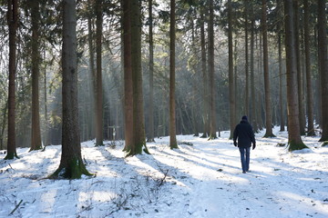 Winterspaziergang