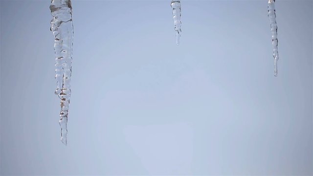 Icicle hanging from the roof. Dripping icicles. Spring drops. Row of icicle melting with water dripping