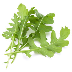 Close up studio shot of green fresh rucola leaves isolated on wh