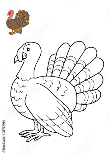 "Coloring book, Turkey" Stock photo and royalty-free images on Fotolia