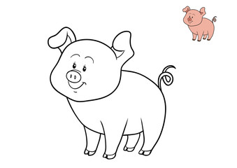 Coloring book, Pig