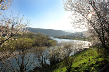 River in the mountains