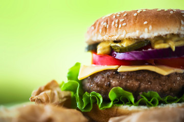 Delicious american burger