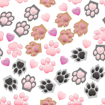 cat and dog paw print with claws