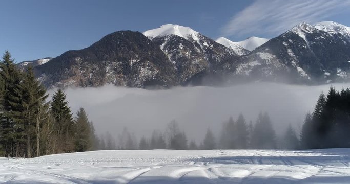On the level above the valley fog in the spruce forest on ski slopes with traces