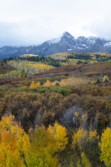 Obraz premium autumn colorado mountain