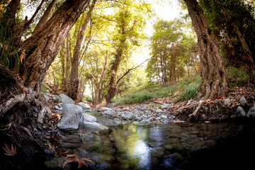 Fototapeta premium Krios River near Platres village. Limassol District, Cyprus