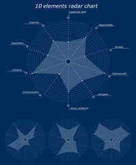 Infographic pattern. 10 elements radar chart. Character personality business traits inscriptions for example. Different empty chart with no labels. Vector illustration.