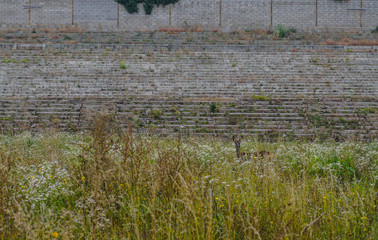 rehe in fussballstadion