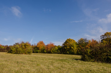 Fototapeta premium herbst landschaft mit blauen himmel