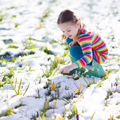 Little girl with crocus flowers under snow in spring