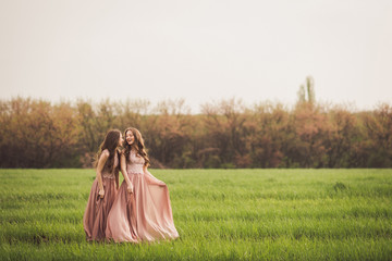 Beautiful happy young twins sisters in long evening dresses in green spring field in sunshine. Having fun together, positive emotions, bright colors. Copy space.