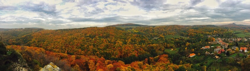 Panorama of a forest and a village in autumn
