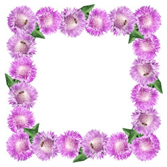 Obraz premium Beautiful floral background with thistle. Isolated 