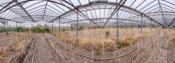 panorama verlassenes altes gewaechshaus