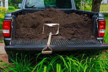 A truck load of compost ready to be shoveled off. 