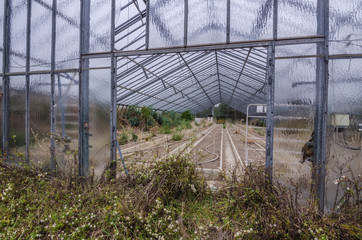 blick in verlassenes gewaechshaus