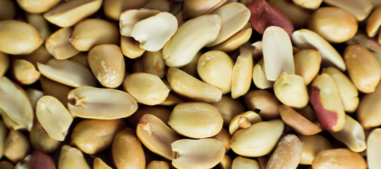 penaut food snack nut healty organic tasty