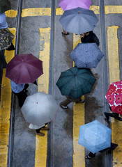Rainy Day in Hong Kong. Crossing the street in the crosswalk with a colorful umbrella during a torrential rain and wind storm.