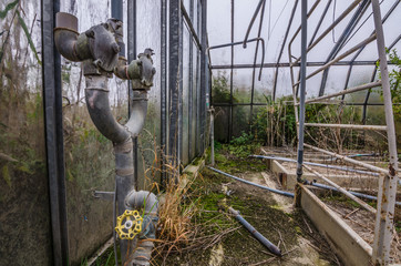 gewaechshaus mit wasseranschluss