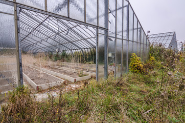 verlassene gaertnerei