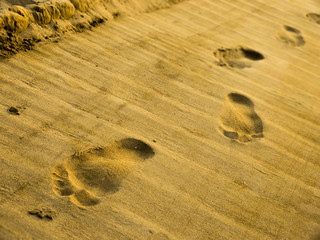 Footprints in the sand