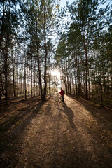 Man is cycling on forest road in evening with sunlight