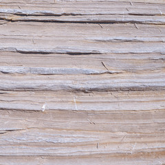 Natural texture with hazelnut color and a pattern of horizontal