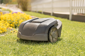 Mähroboter beim selbständigen Rasen mähen 
