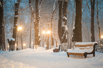 Winter in one of the parks in Kiev