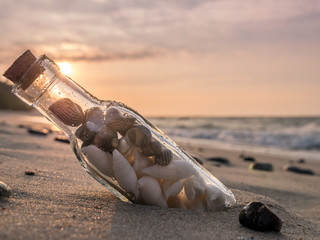 Obraz premium Bottle with seashells