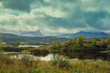 Fototapeta na wymiar Landscape with mountain river in rainy day. Beautiful nature Norway