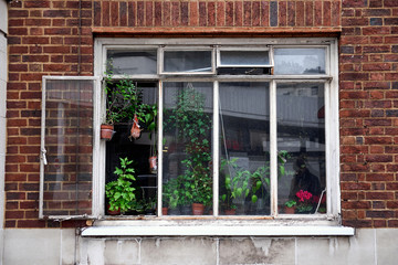 Fototapeta na wymiar Overgrown weathered iron window in a building facade of red bricks