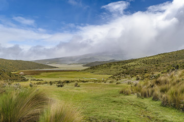 Cotopaxi National Park Ecuador