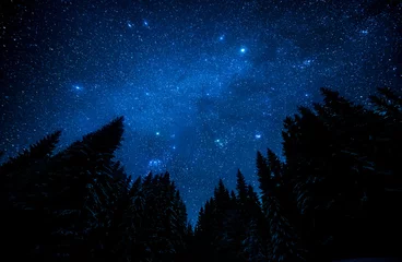 Deurstickers De heldere sterrenhemel in het nachtelijke bos © MIRACLE MOMENTS