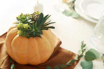 Beautiful composition of pumpkin with succulents on brown napkin