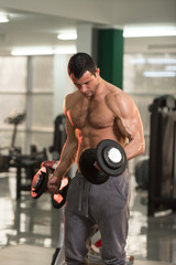 Fototapeta na wymiar Biceps Exercise With Dumbbell in a Fitness Center